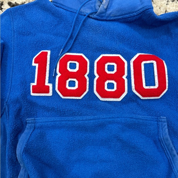 RILLEY 1880 logo fleece hoodie - Picture 2 of 6